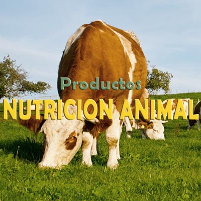 Productos e Insumos Nutrición Animal